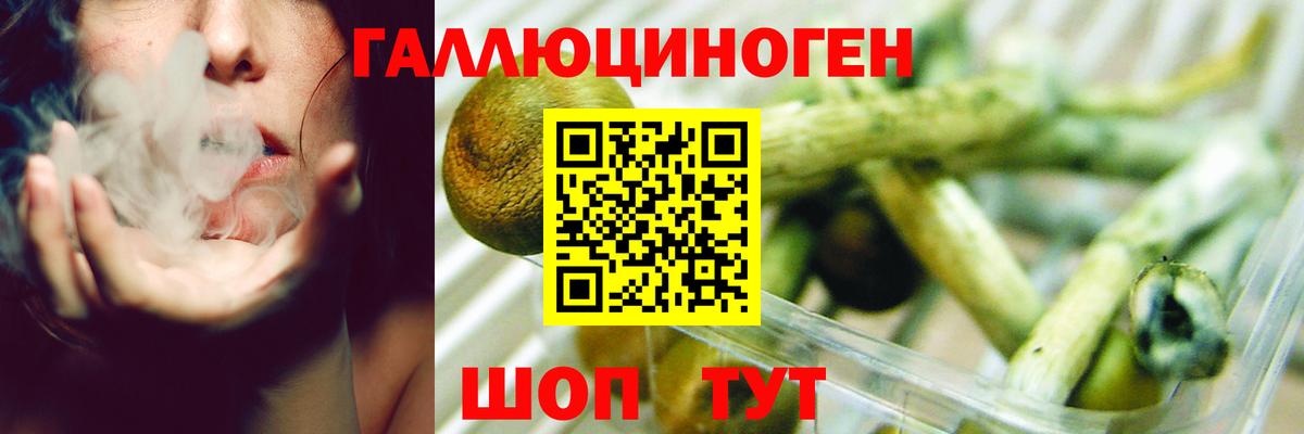 Псилоцибиновые грибы GOLDEN TEACHER  Вход с VPN  Сергиев Посад 
